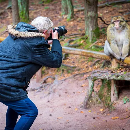 **** L'atelier Du Tonnelier *