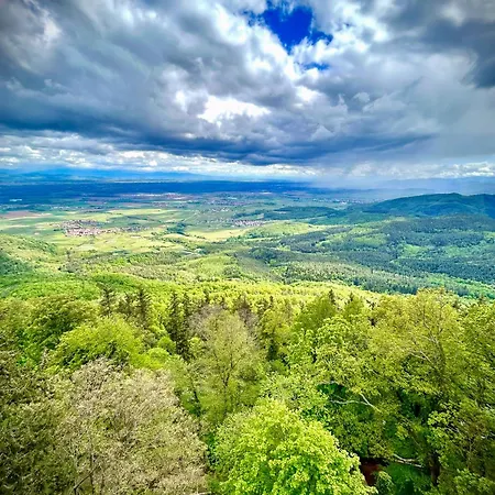**** L'atelier Du Tonnelier Apartamento *