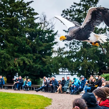 Apartamento **** L'atelier Du Tonnelier Ribeauvillé