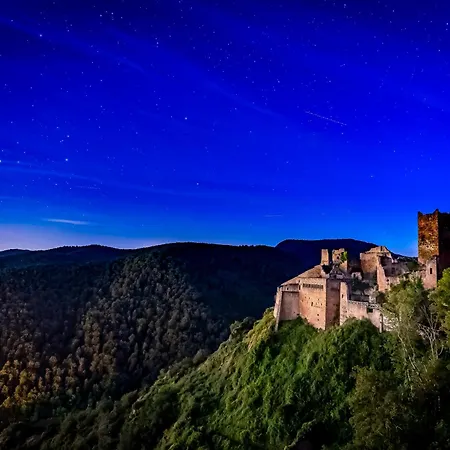 **** L'atelier Du Tonnelier * Ribeauville (Haut-Rhin)