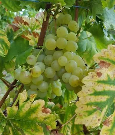 **** L'atelier Du Tonnelier Apartamento *